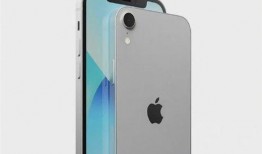 se3最新爆料价格,价格揭晓，科技新宠儿性价比再升级！”